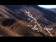 Cardrona Pass Hills 2 1118